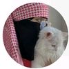 mozan3512