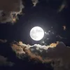 hemn_460