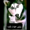 حەمە ١٣