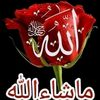 user77768159216238