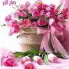 user1954038205791
