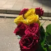 sharafani.215