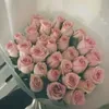 xnavin_yfp