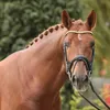 gottalovehorses