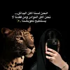 user6916113040807
