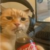 maya_is_very_cool
