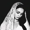 rageh.hamed