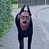 gotibapirometi