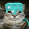 daniel_renato3
