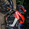 moises.hoenes
