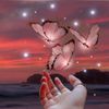 naimhossain6754