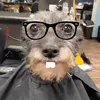 ziyogeekedfr
