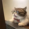 meomephim..55