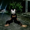 adb_aja12