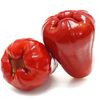 Jambu