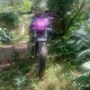 nur.sofiah14