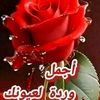 user9107237077710