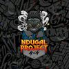NDUGALproject_