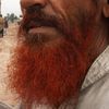 brown.beard01