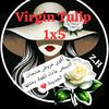 user5451222770009