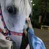 szstar_159