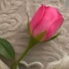 user450803631
