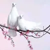 abd3334444