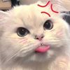 user7111011439267