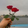 user9533047518584