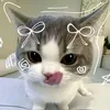 itsnotmeaisahbalt2
