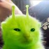 backup_youdontknow_m3