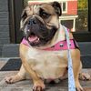the.winnie.wiggles
