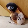 ultrakillbulbache
