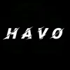 havo924