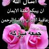 .mastve