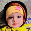 bao.hafizullah