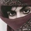 .azzam261