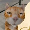 sandy_260512