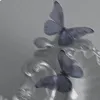 ohoshisama._6