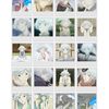 cris_7059