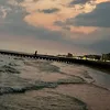 ilona_thecoin