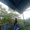 yariskaa31