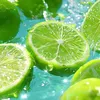 lime_chill8