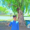 user7182328431699