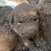 pyrpyrcat