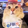 user5wfl4k536d