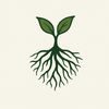 remedy_roots