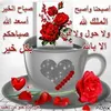 bochaib.bochaib4