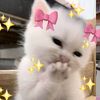 jana.nabil94