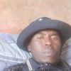 scelo.celani.mado